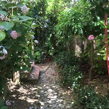 Bed & Breakfast Le Casette