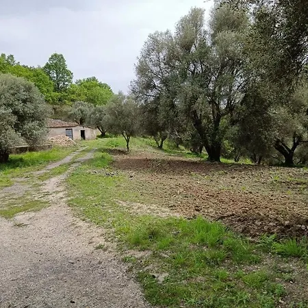 Le Casette Bed & Breakfast SantʼOnofrio