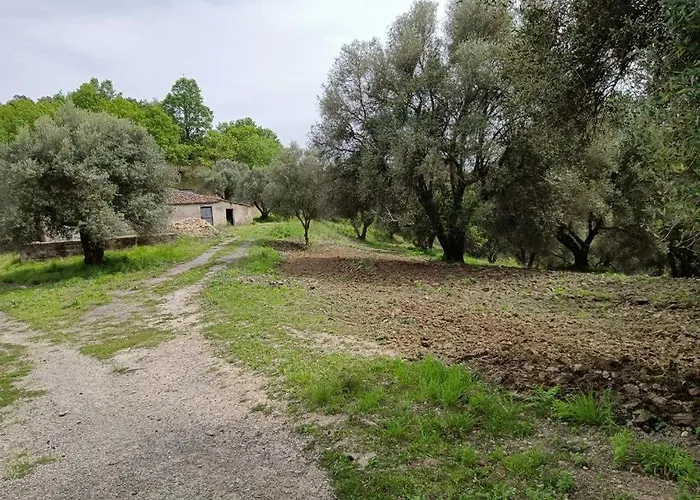 Le Casette Alojamento de Acomodação e Pequeno-almoço SantʼOnofrio